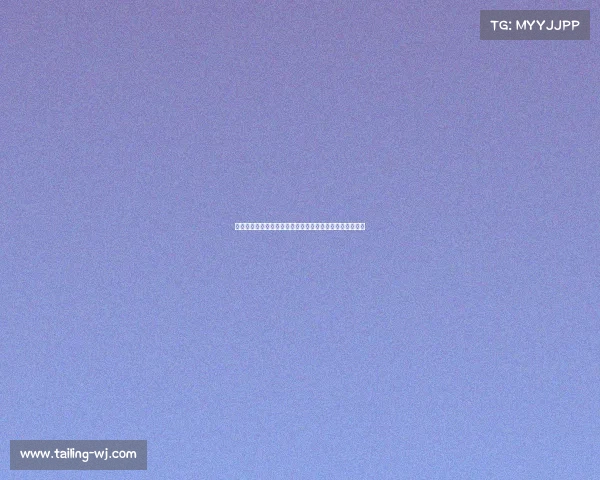 乘风破浪勇攀巅峰全球顶尖冲浪选手决战蔚蓝海洋荣耀之争